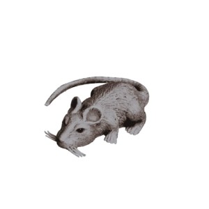 Rato De Brinquedo Assustador Pais & Filhos